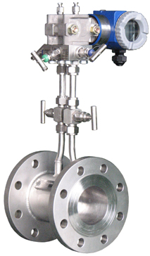 ZY-LG 一體化(huà)孔闆流(liu)量計