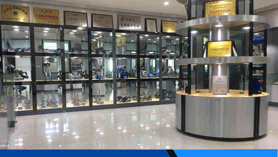 江蘇(sū)中儀儀表(biǎo)集團有限(xian)公司